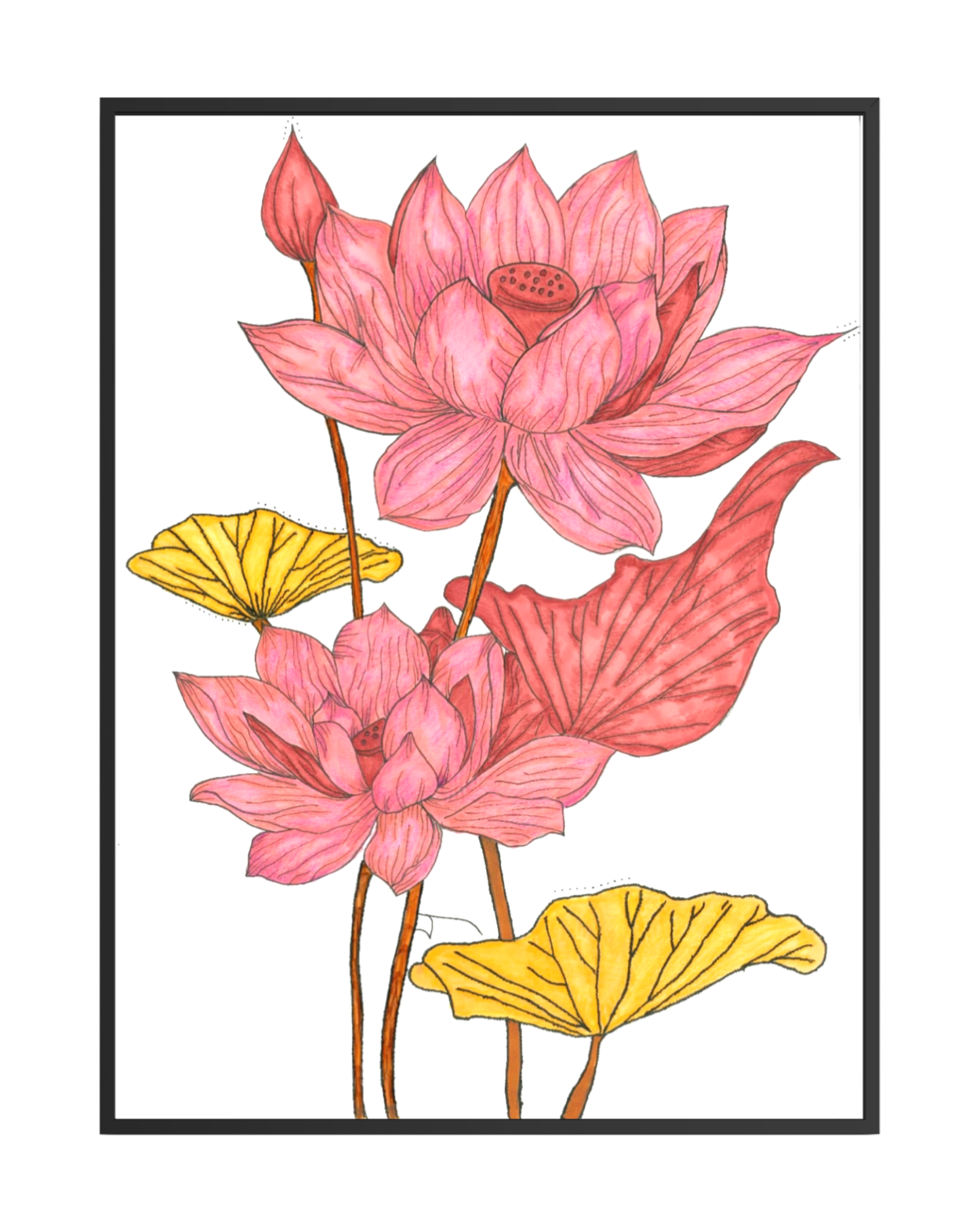 Blush Botanicals
