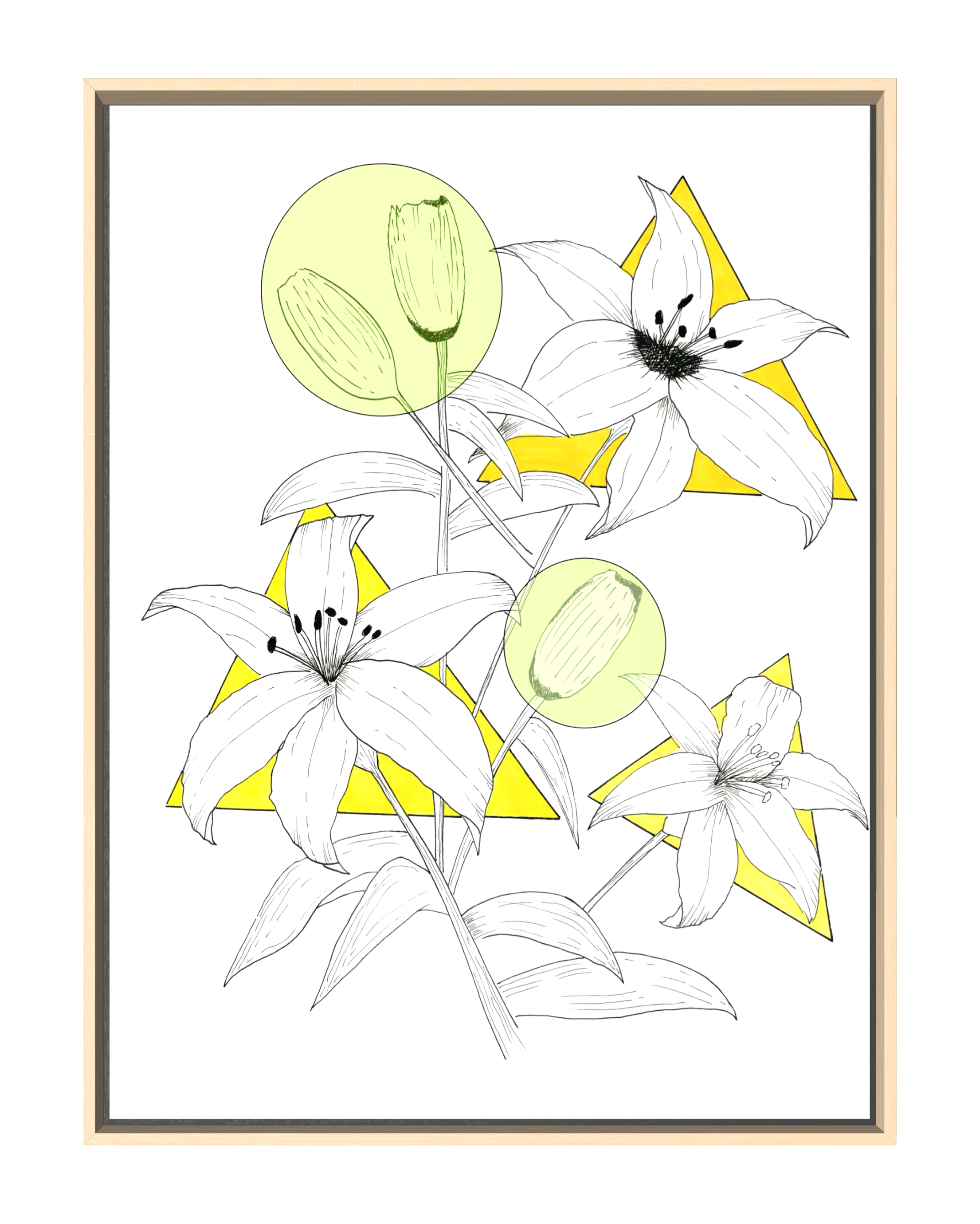 The Urban Lilies