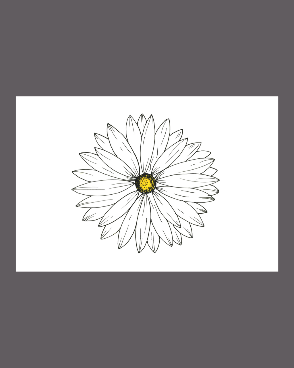 Daisy