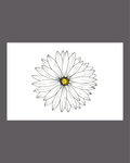 Daisy