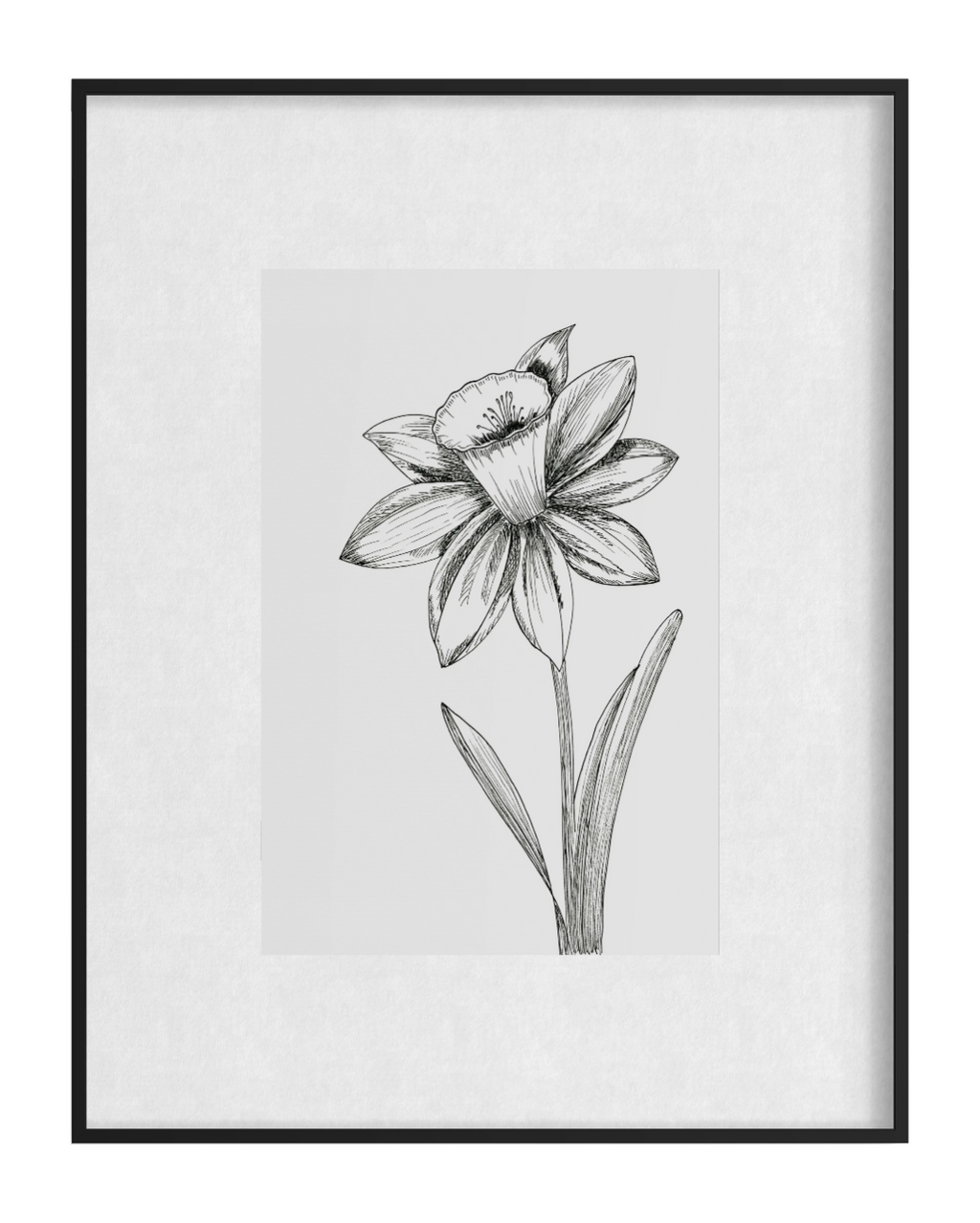The Daff