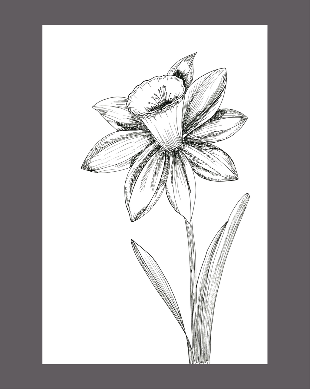The Daff