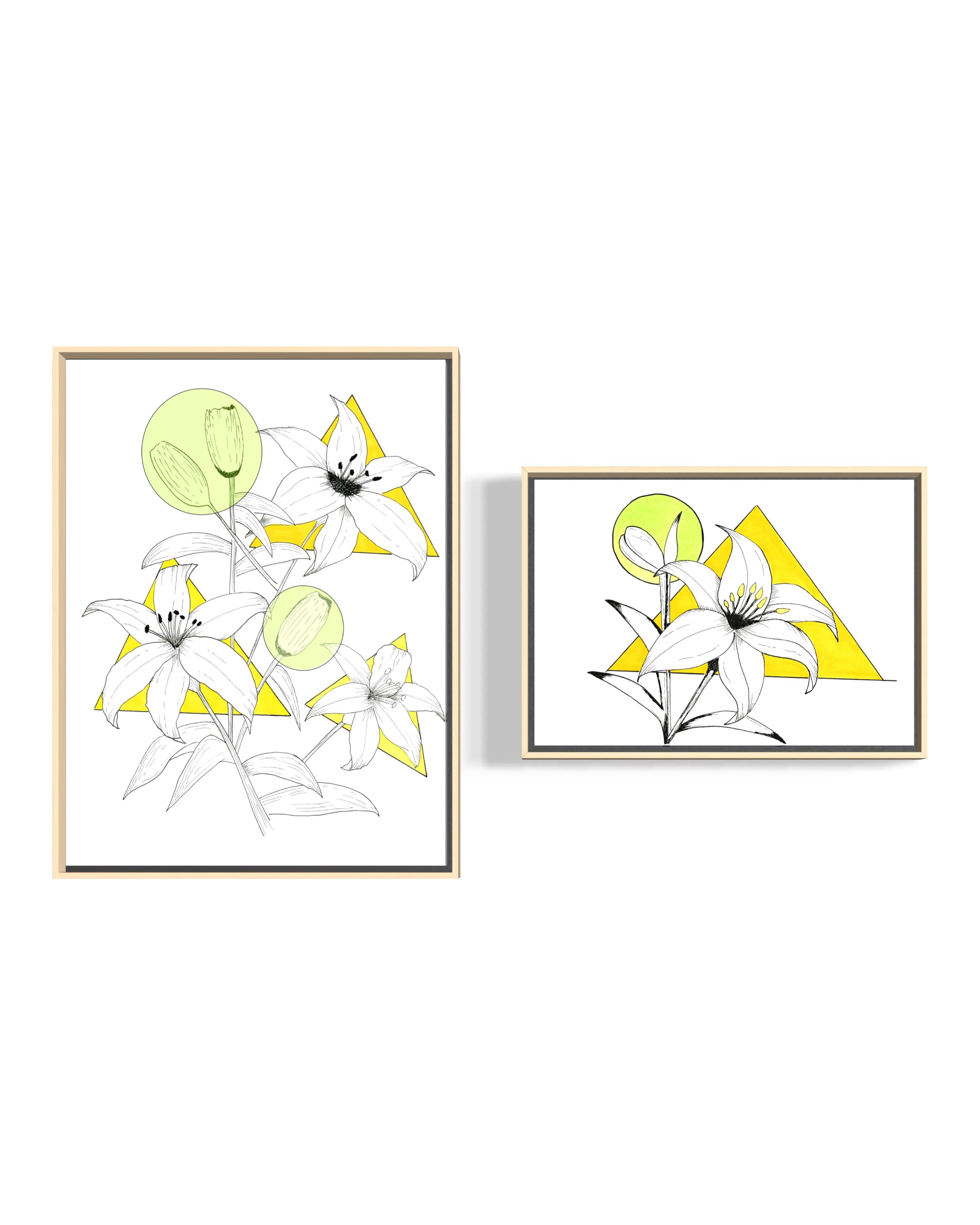 The Urban Lilies