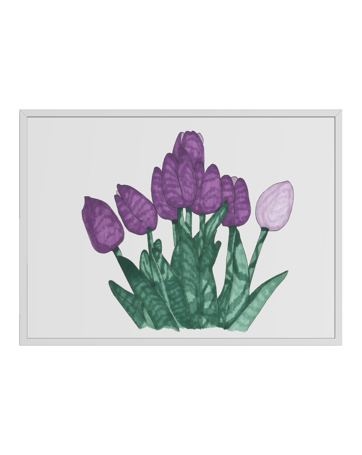 Violet Tulips