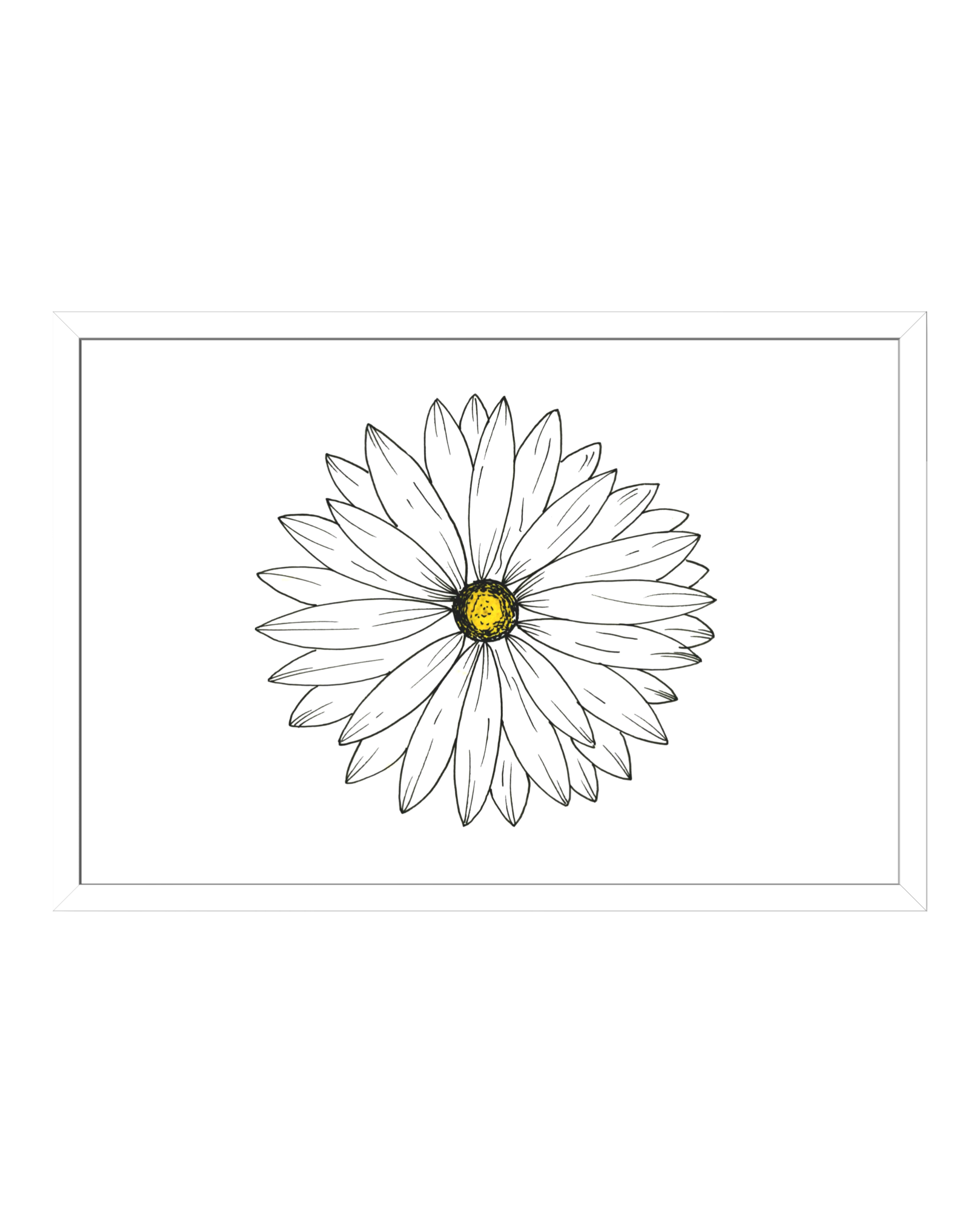 Daisy